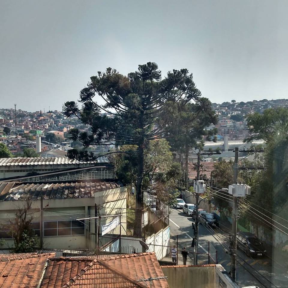 Vista do Capão Redondo a partir do prédio da Fábrica de Criatividade, onde fica uma das unidades da 4YOU2. Crédito: Rodrigo Borges Delfim/MigraMundo