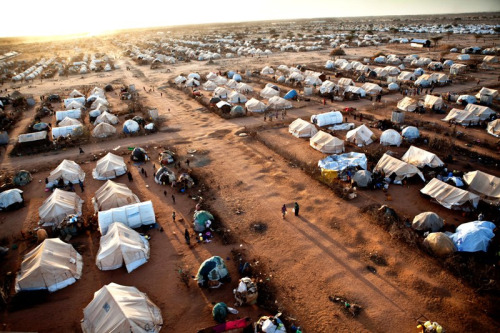 Vista de parte do campo de refugiados de Daddab, que pode ser fechado pelo governo queniano. Crédito: Brendan Bannon/IOM/UN Refugee Agency