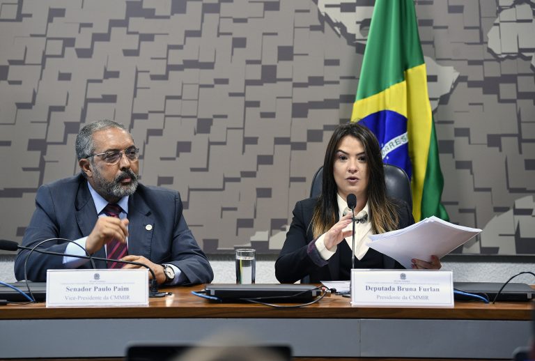 Senador Paulo Paim (PT-RS), e deputada Bruna Furlan (PSDB-SP), respectivamente vice e presidente da comissão. Pedro França/Agência Senado