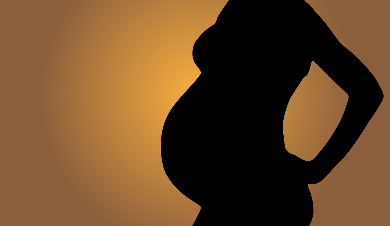 gravidez mulher grávida gestante