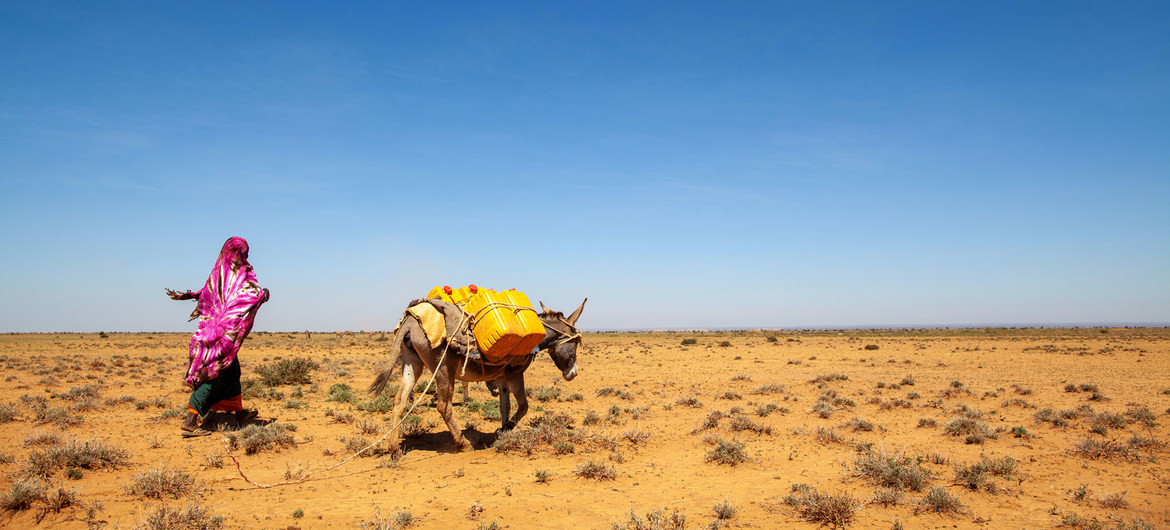 Região na Somália afetada por estiagem severa. Mudanças climáticas vão potencializar migrações internas, apontam organismos internacionais
